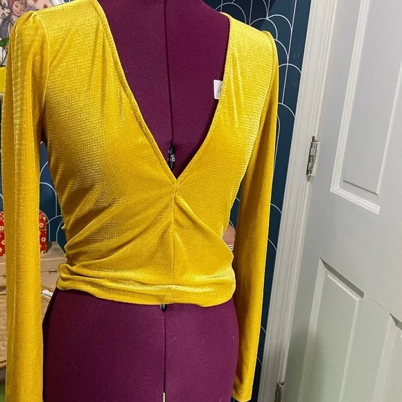 Gold Velvet Deep V Long Sleeve Top Size Medium - Picture 1 of 8